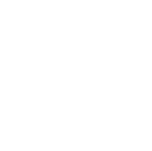 merrill-lynch-white-logo
